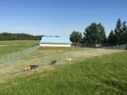 30,000 sq ft outdoor run
