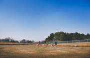 Outdoor Playpen