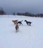 Outdoor Playpen in Winter